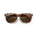Tortoise Brown