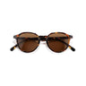 Sunski Everyday Vallarta - Tortoise Amber