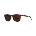 The Landlocked/HDPV Polarized Brown