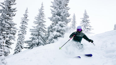 Skier in action on a snowy slope with trees