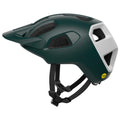 Pargasite Green Matt/Hydrogen White Matt