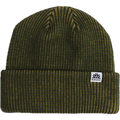 Coniferous